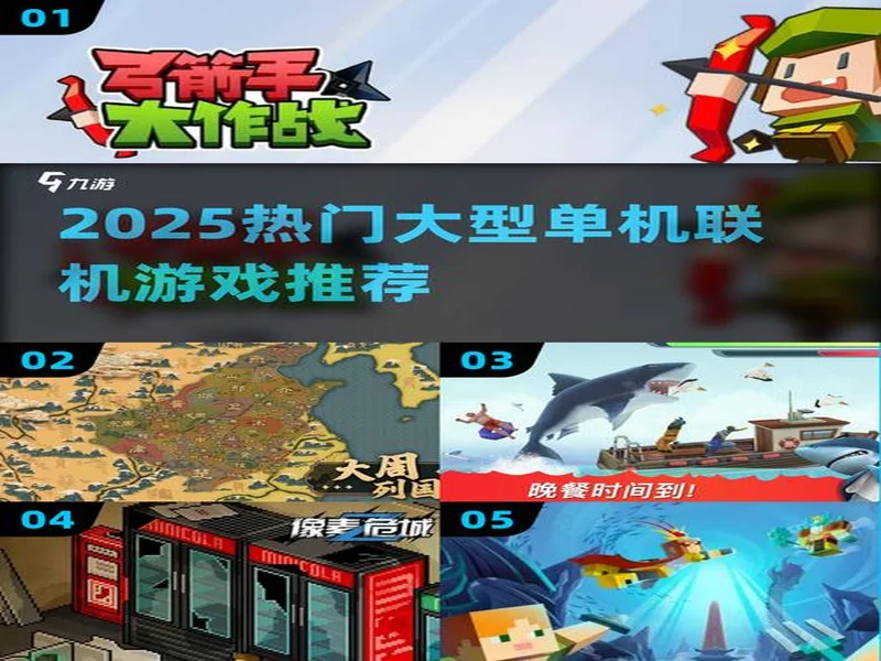 2025年联机游戏加速软件横评:谁是玩家流畅联机终极之选?